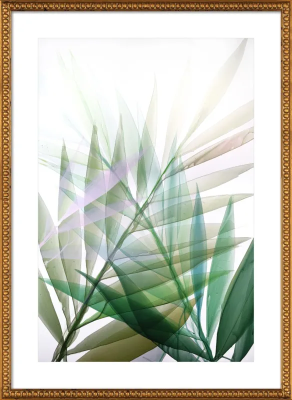 Tropical Study no. 8 by Marina Dunbar  for Artfully Walls