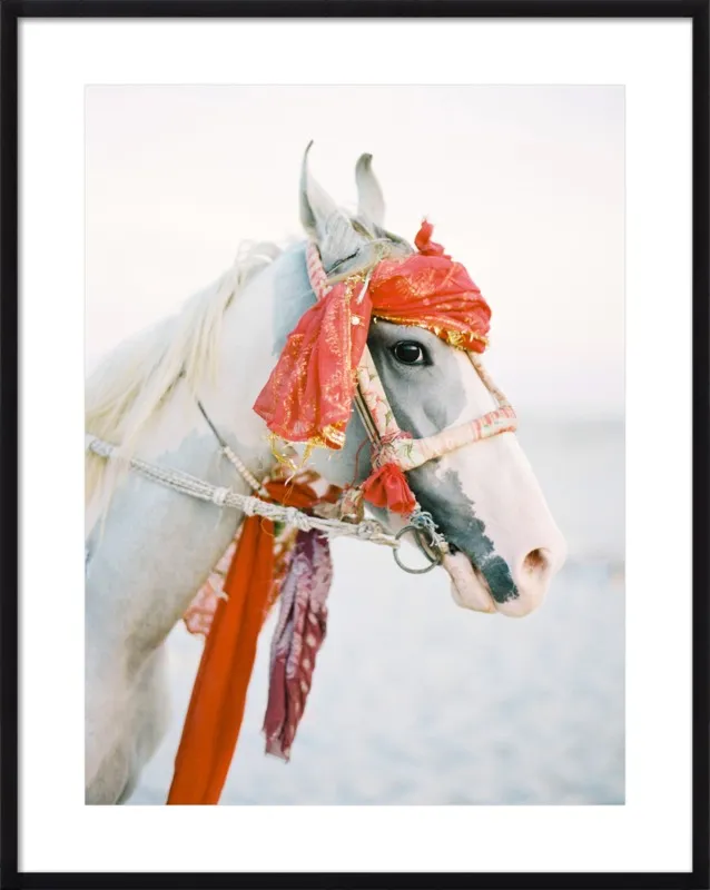 Marwari by Andrew Jacona for Artfully Walls