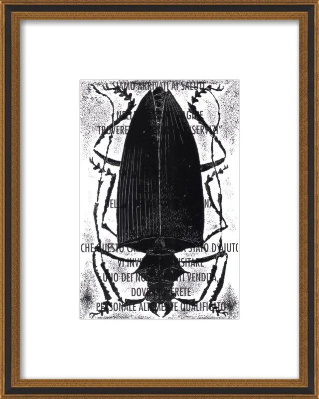 Black Beetle on Words by Tennopent Sooster for Artfully Walls