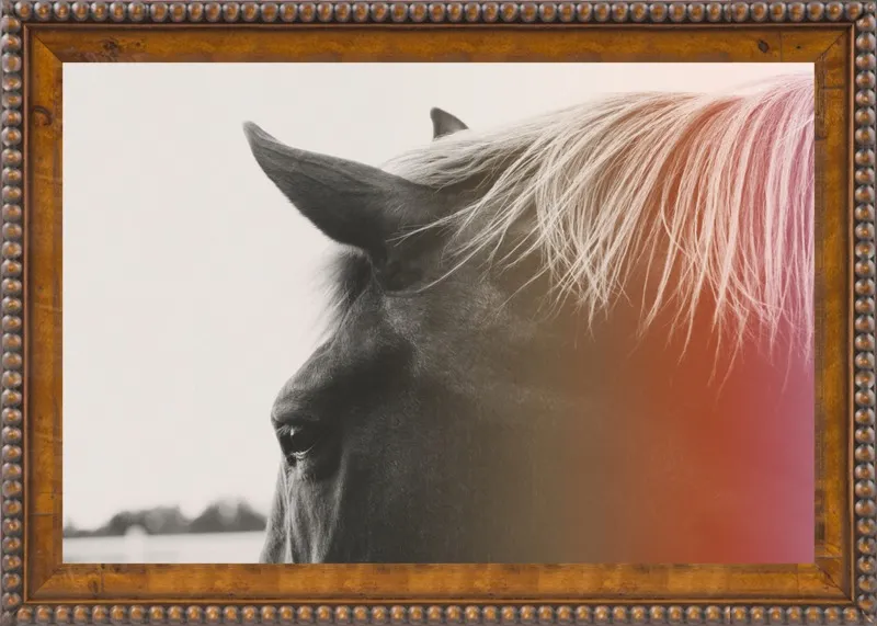 Pink Pony by Alicia Bock for Artfully Walls