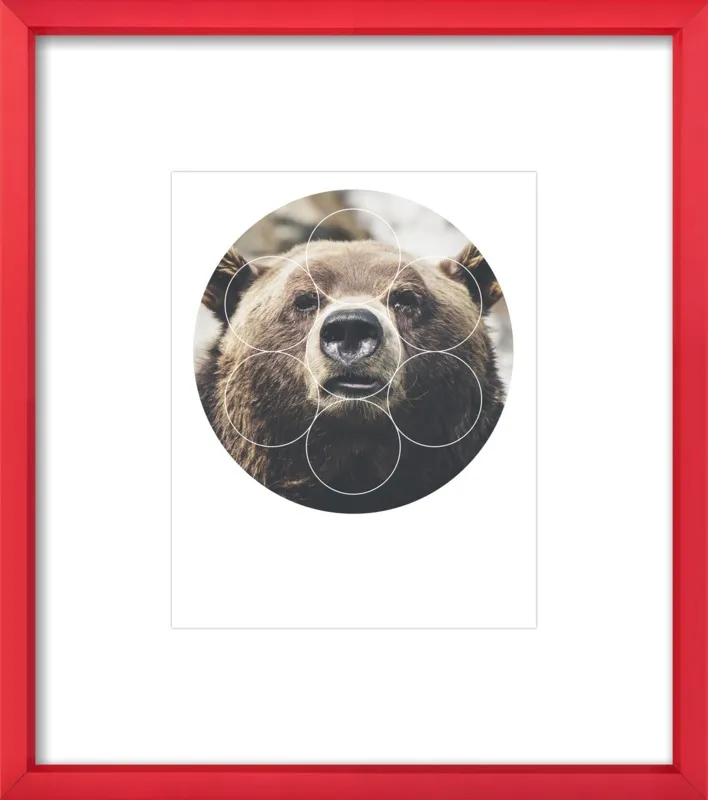 Big Bear Buddy - Geometric Photography by Emiliano Deificus for Artfully Walls