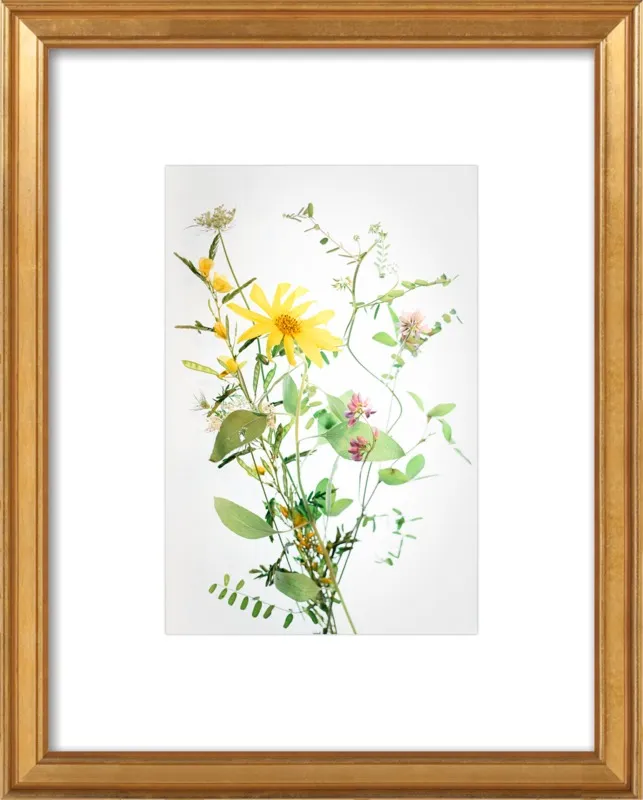 A Bunch of Wild Flowers by Qing Ji for Artfully Walls