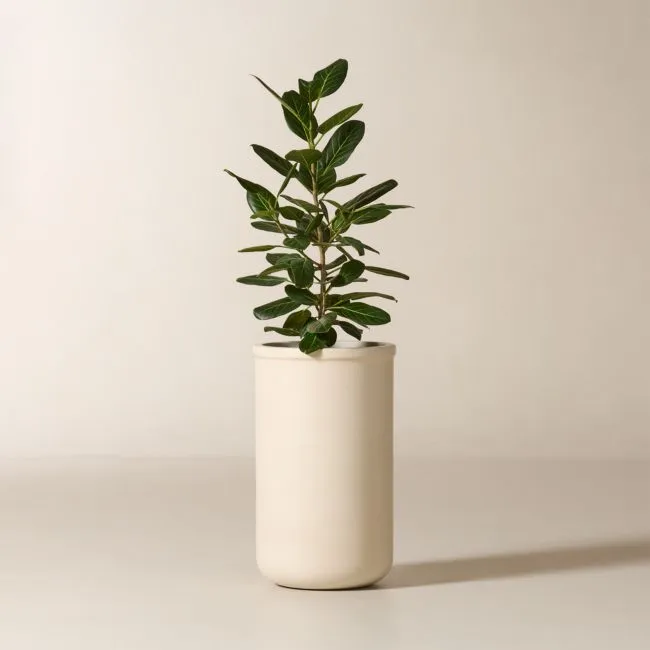 Oakley Round Faux Limestone Indoor/Outdoor XL Planter 28.25"H