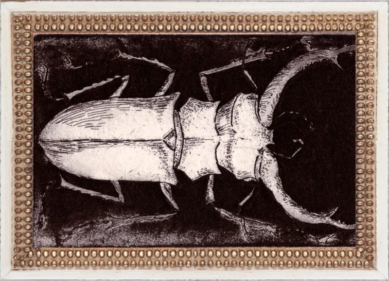 White Beetle on Dark Brown by Tennopent Sooster for Artfully Walls