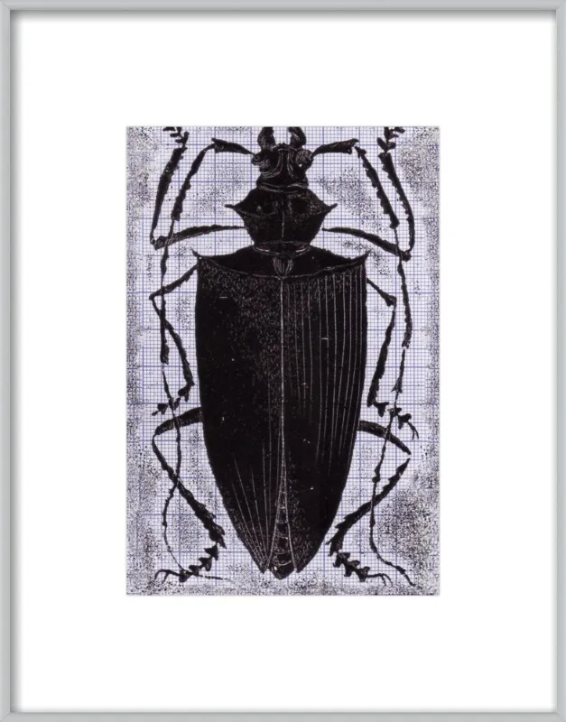 Black Beetle on Grey by Tennopent Sooster for Artfully Walls