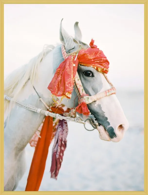 Marwari by Andrew Jacona for Artfully Walls