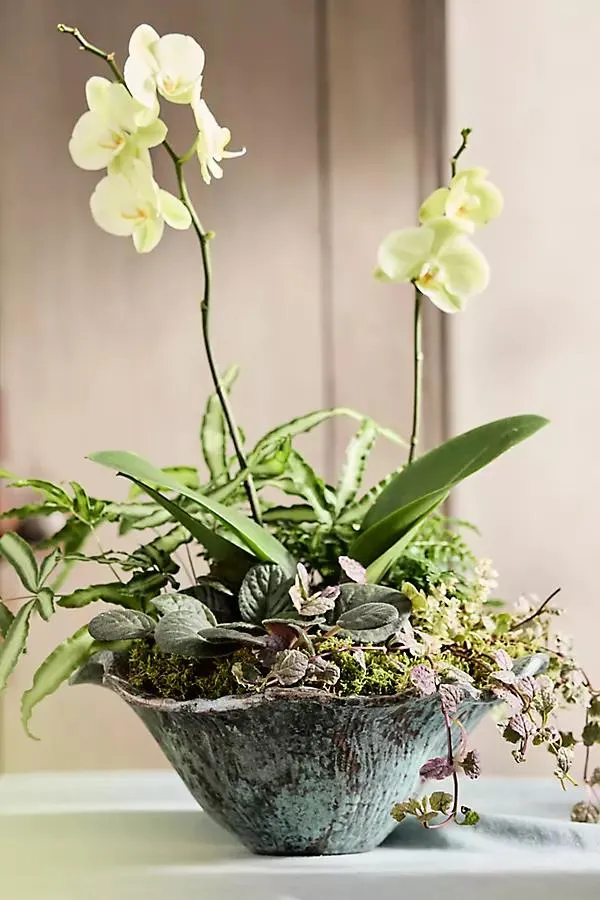 Aluminum Lotus Bowl Planter