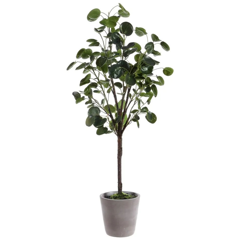 Safavieh Faux 37" Potted Poly. Fruticos
