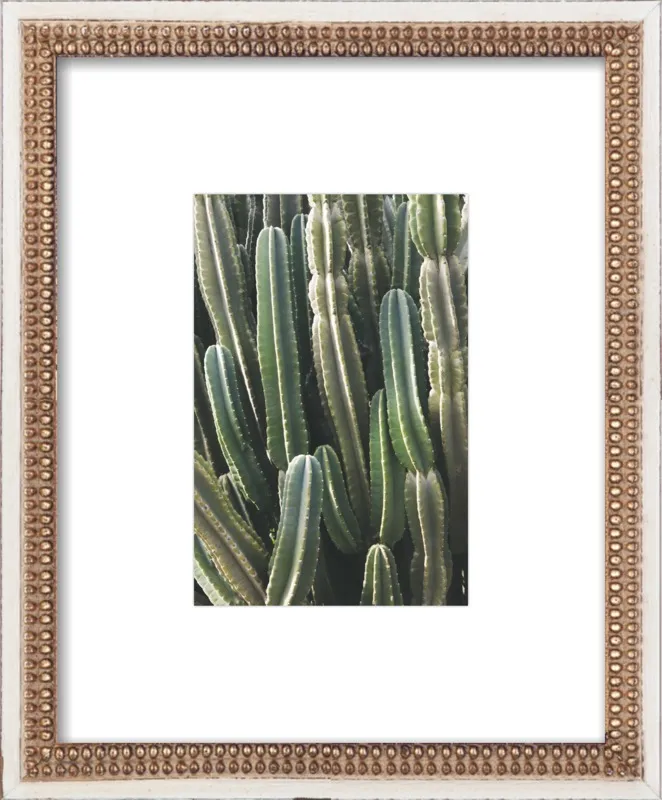 Southwest Cactus by Catherine McDonald for Artfully Walls