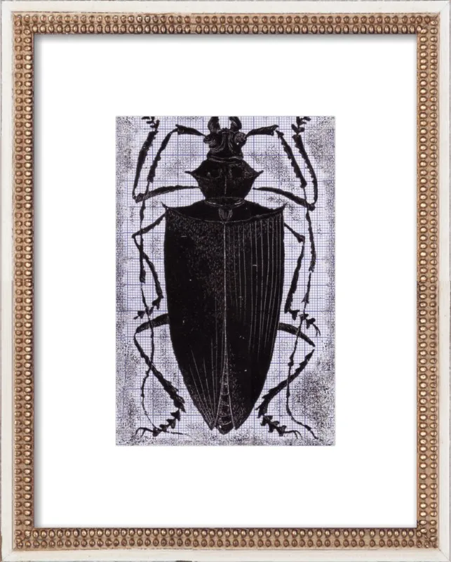 Black Beetle on Grey by Tennopent Sooster for Artfully Walls