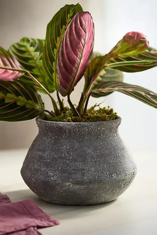 Buckled Jar Stoneware Planter