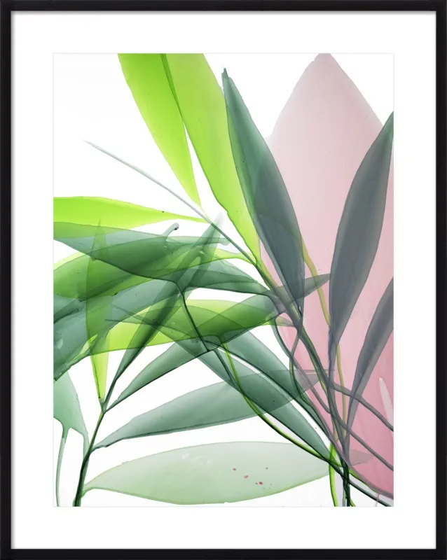 Tropical Study no. 15 by Marina Dunbar  for Artfully Walls