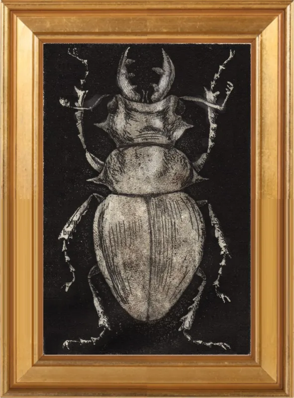 Grey Beetle on Black by Tennopent Sooster for Artfully Walls