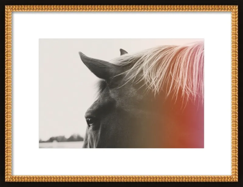 Pink Pony by Alicia Bock for Artfully Walls