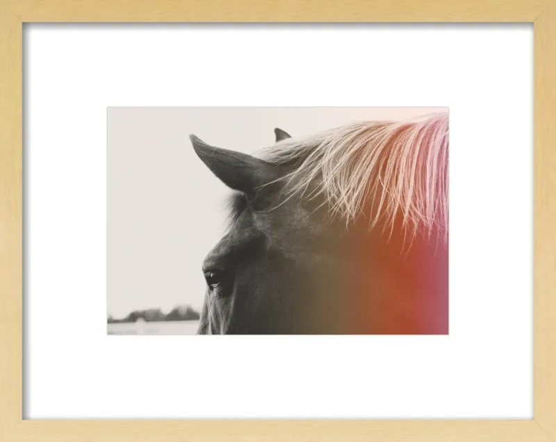 Pink Pony by Alicia Bock for Artfully Walls