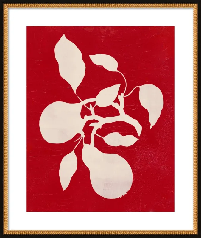 pears by Ruti Shaashua for Artfully Walls