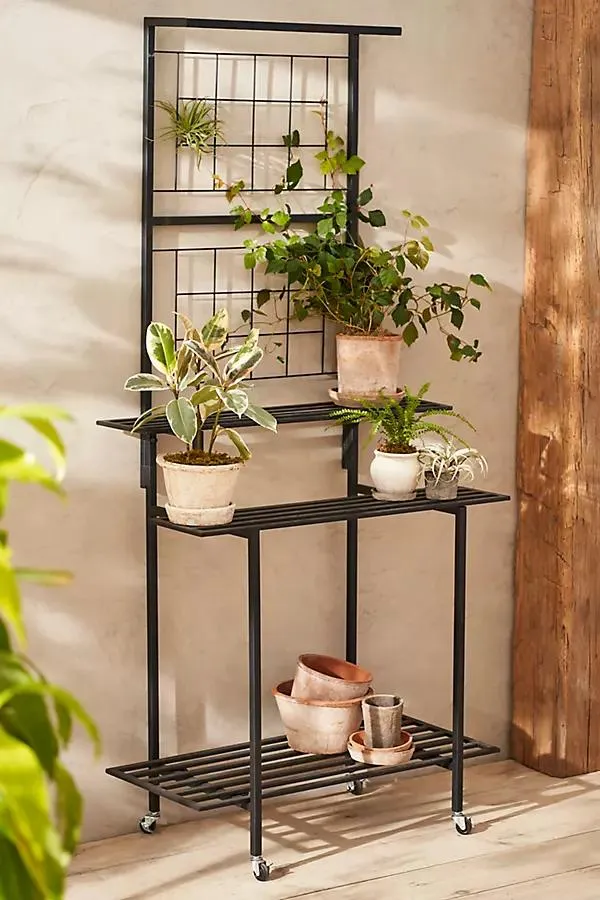 Rolling Iron Shelf Plant Stand
