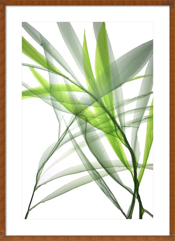 Tropical Study no. 3 by Marina Dunbar  for Artfully Walls