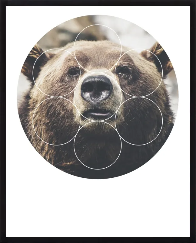 Big Bear Buddy - Geometric Photography by Emiliano Deificus for Artfully Walls