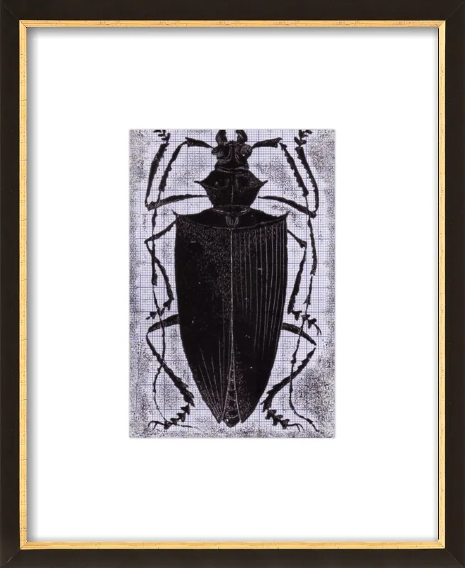 Black Beetle on Grey by Tennopent Sooster for Artfully Walls