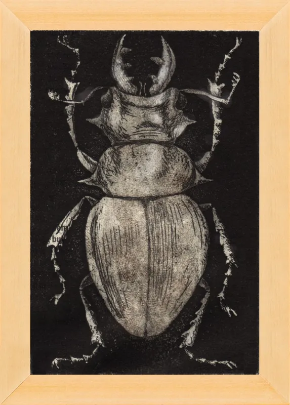 Grey Beetle on Black by Tennopent Sooster for Artfully Walls