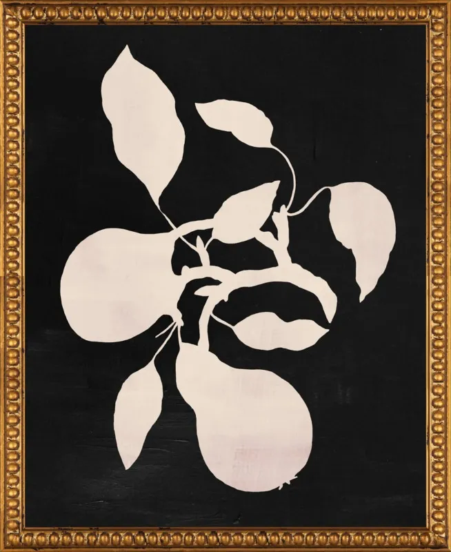 pears black and white by Ruti Shaashua for Artfully Walls
