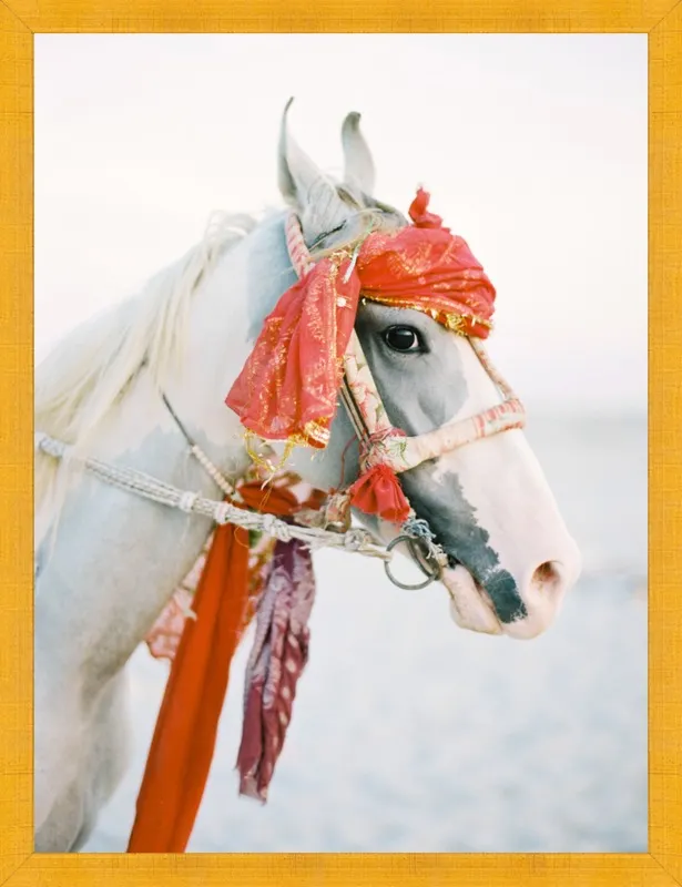 Marwari by Andrew Jacona for Artfully Walls