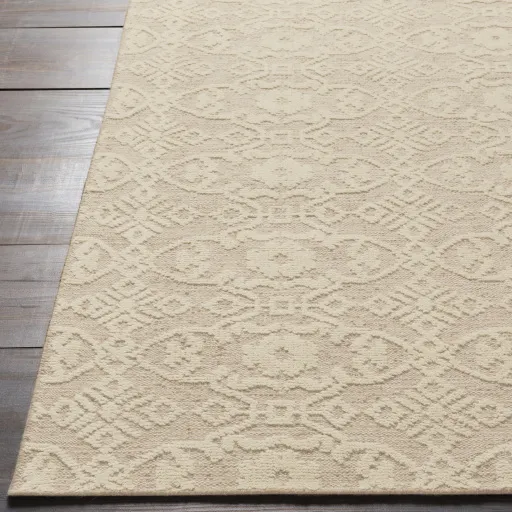 Ithaca Beige Indoor 4' x 6' Handmade Rug
