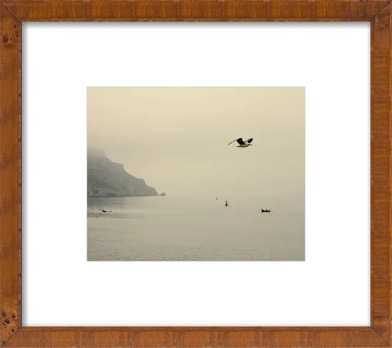 one day I will fly away by Ingrid Beddoes for Artfully Walls