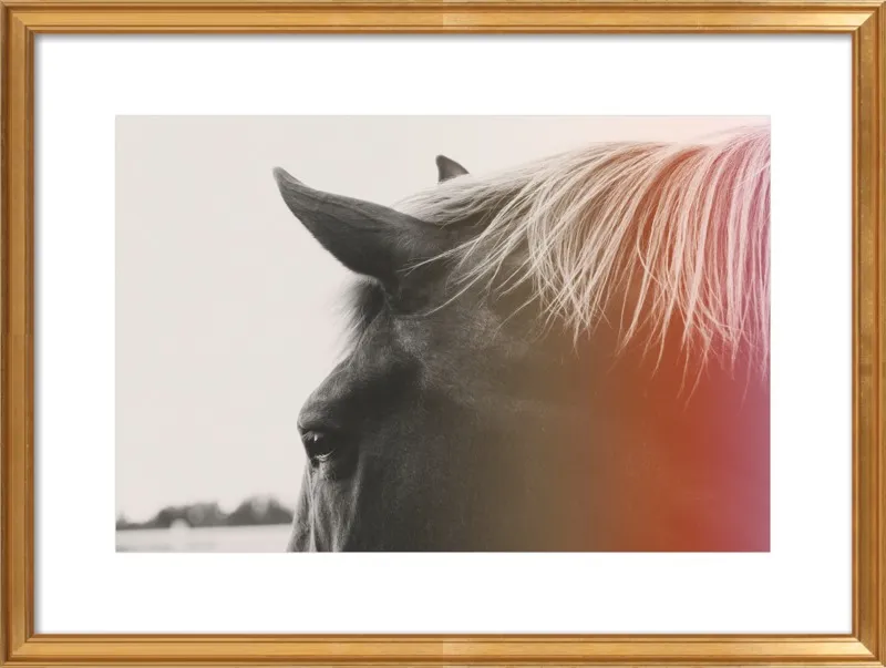 Pink Pony by Alicia Bock for Artfully Walls
