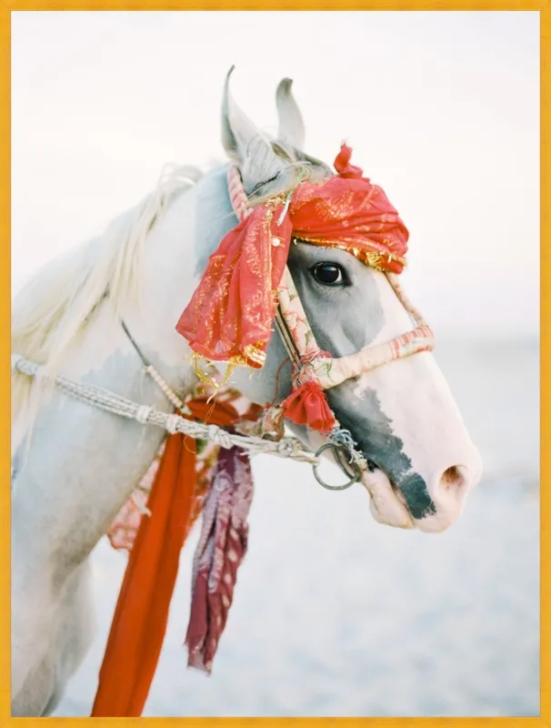 Marwari by Andrew Jacona for Artfully Walls