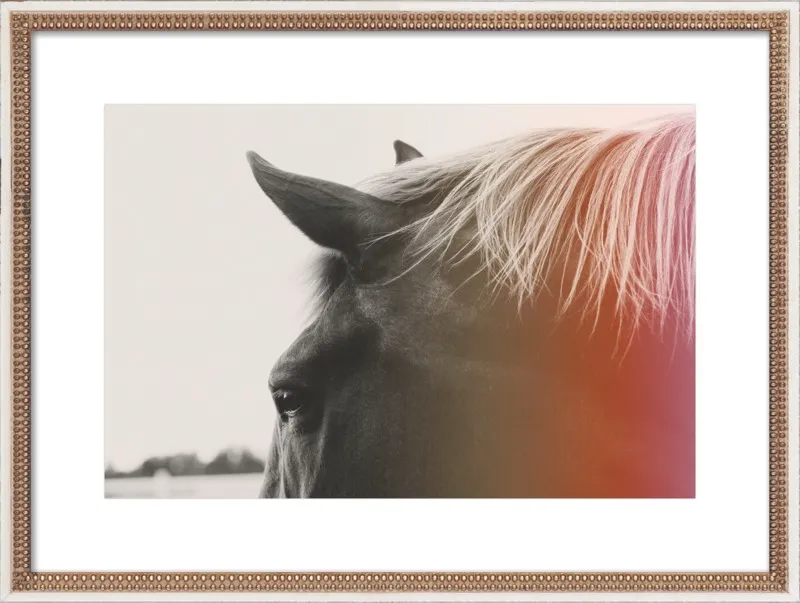 Pink Pony by Alicia Bock for Artfully Walls