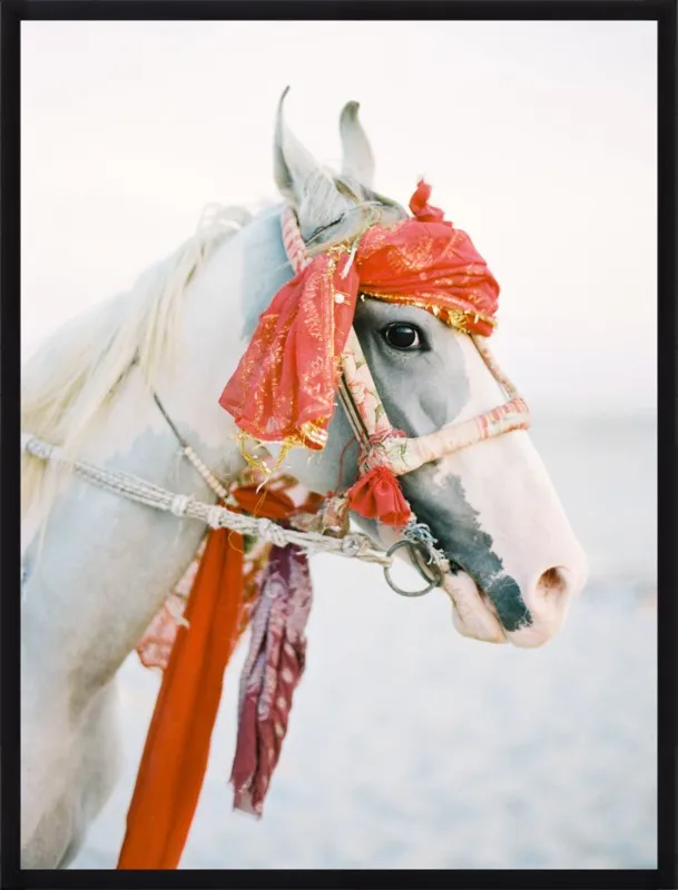 Marwari by Andrew Jacona for Artfully Walls