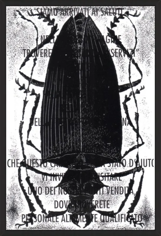 Black Beetle on Words by Tennopent Sooster for Artfully Walls