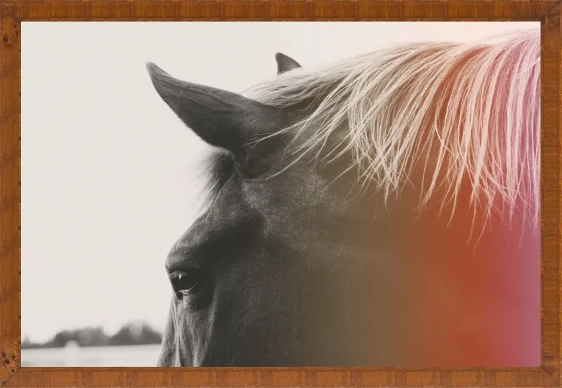 Pink Pony by Alicia Bock for Artfully Walls