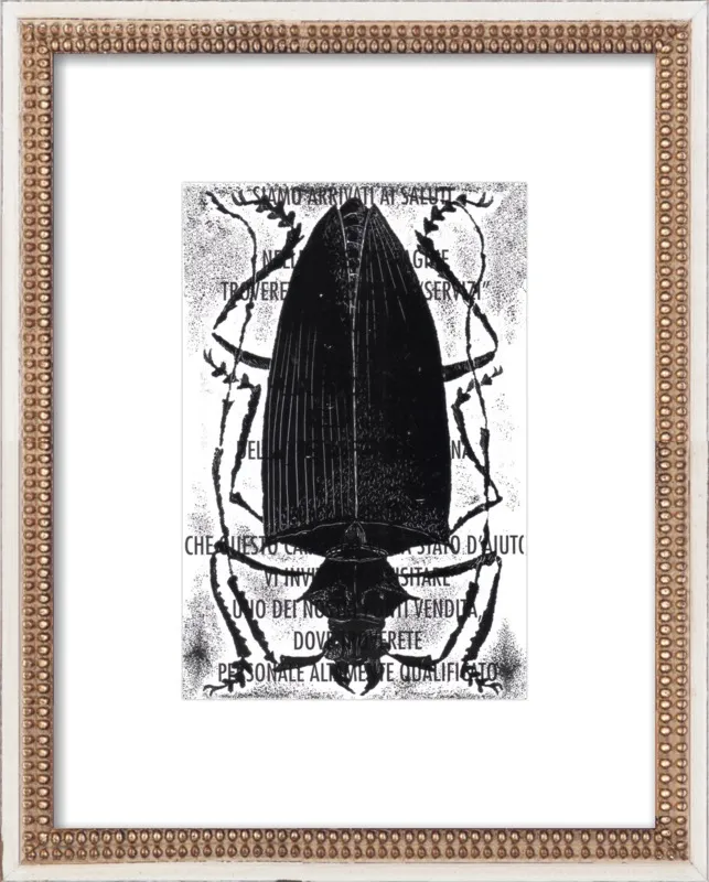 Black Beetle on Words by Tennopent Sooster for Artfully Walls