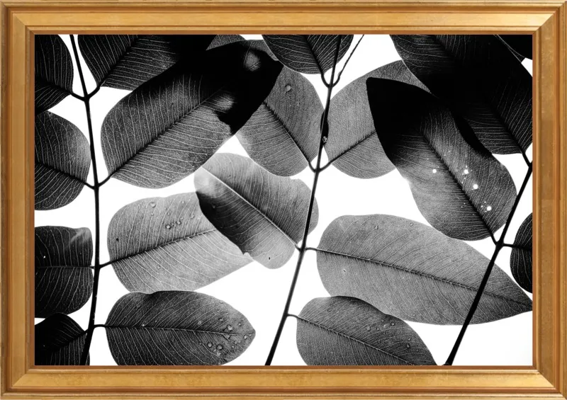 "Experiments with Leaves 2015 1" by Tal Paz-Fridman for Artfully Walls