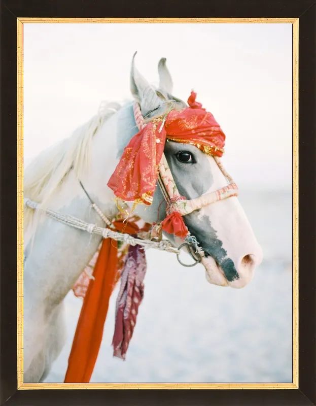 Marwari by Andrew Jacona for Artfully Walls
