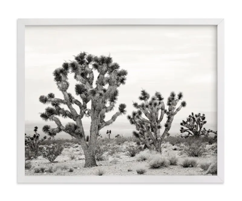 Joshua Tree Limited Edition Fine Art Print