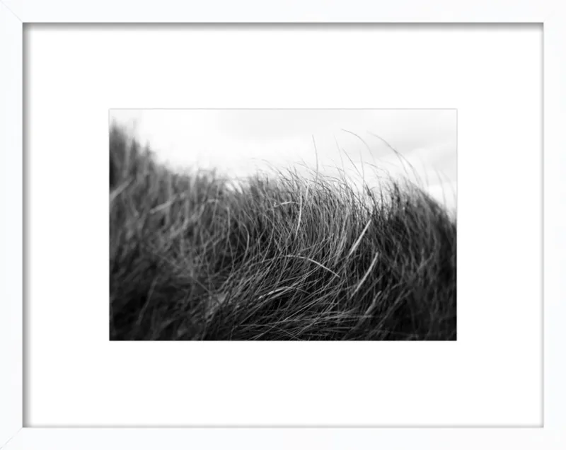 Beach Grass #3 by Alicia Bock for Artfully Walls