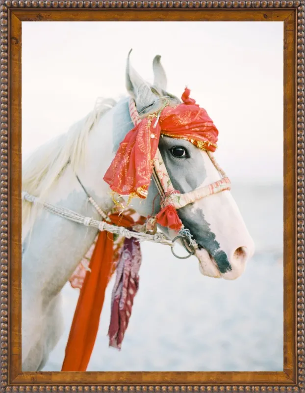 Marwari by Andrew Jacona for Artfully Walls