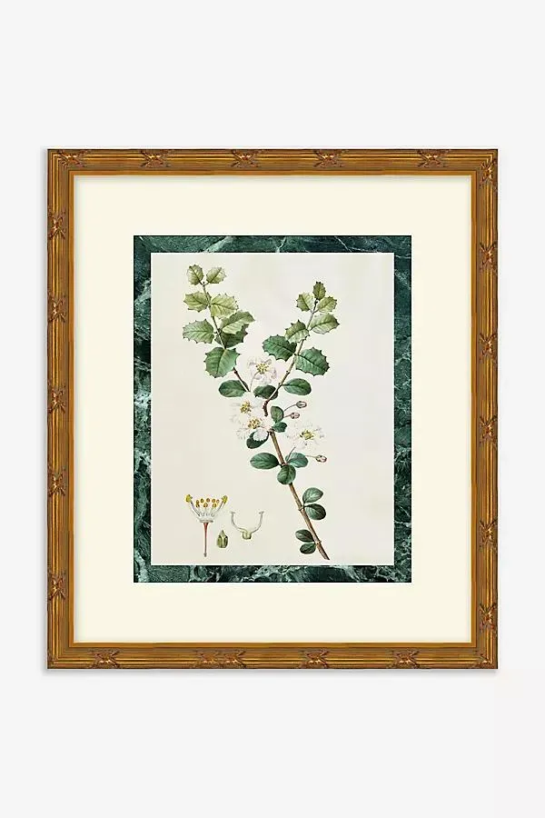 Freshly Picked Wall Art