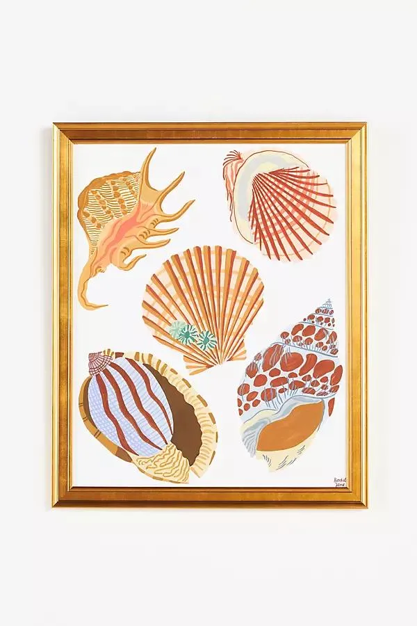 Shells Wall Art