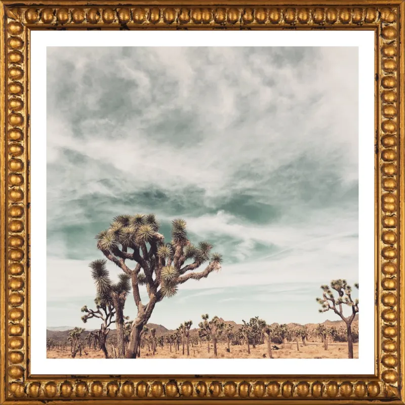 Joshua Tree Moment by Jan Weiss for Artfully Walls