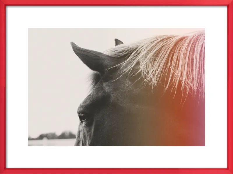 Pink Pony by Alicia Bock for Artfully Walls