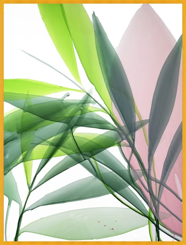 Tropical Study no. 15 by Marina Dunbar  for Artfully Walls
