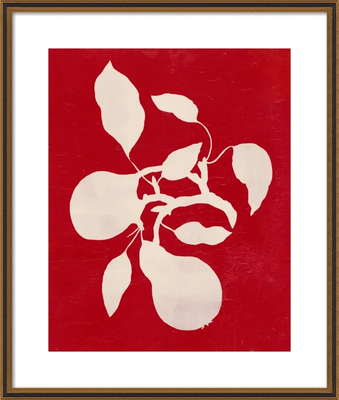 pears by Ruti Shaashua for Artfully Walls