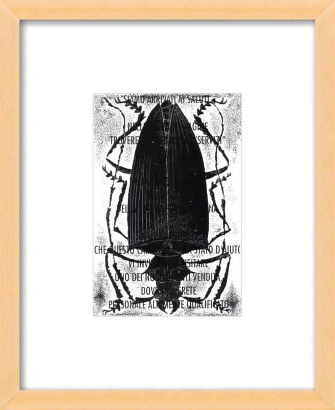 Black Beetle on Words by Tennopent Sooster for Artfully Walls