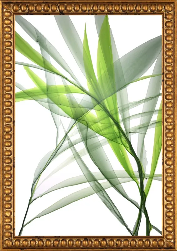 Tropical Study no. 3 by Marina Dunbar  for Artfully Walls