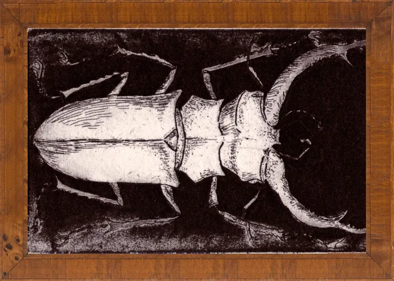 White Beetle on Dark Brown by Tennopent Sooster for Artfully Walls